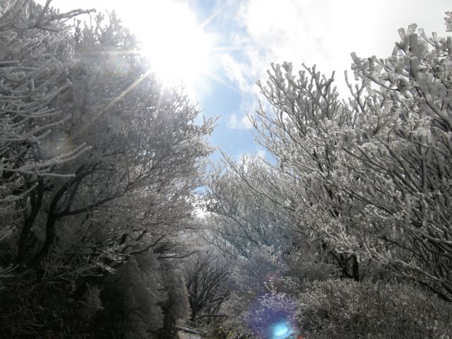c0042869_14125865.jpg