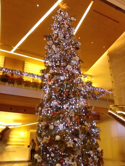 e0155771_20114892.jpg