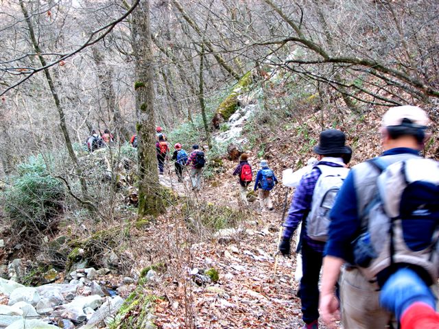 f0174373_618561.jpg