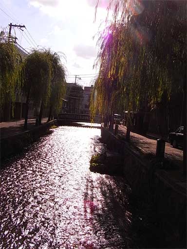 f0089079_394912.jpg