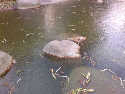 c0010881_11112037.jpg