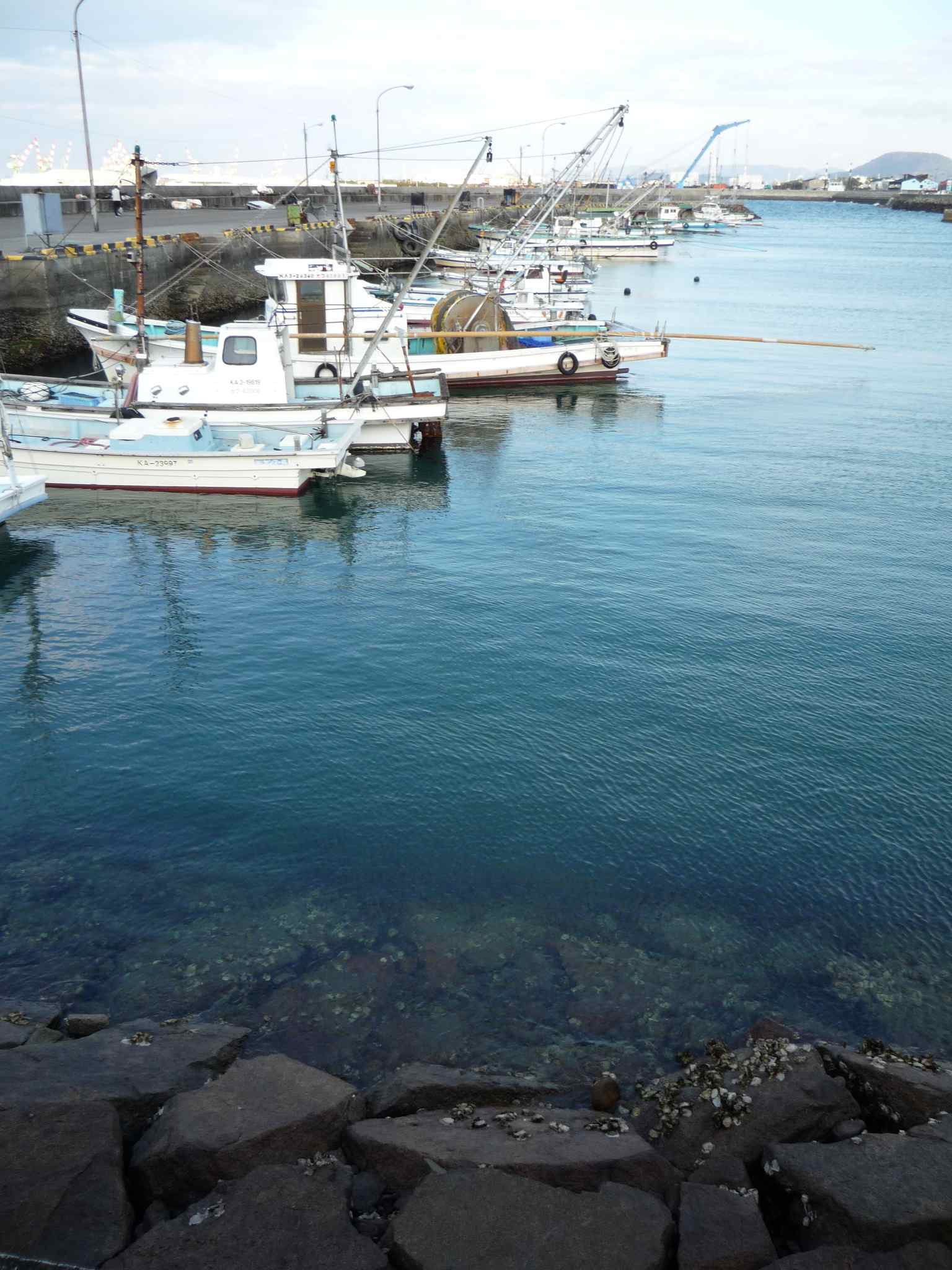 f0190781_22444530.jpg