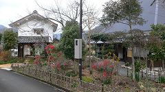 b0042882_2048543.jpg
