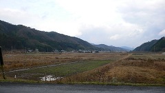 b0042882_2049154.jpg