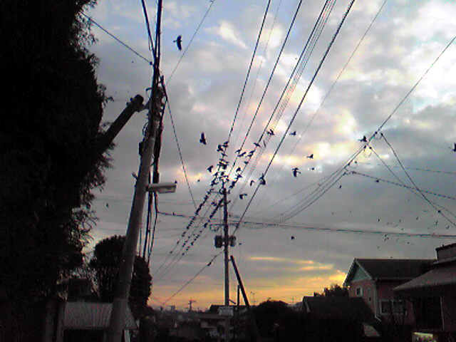 c0125283_18174455.jpg