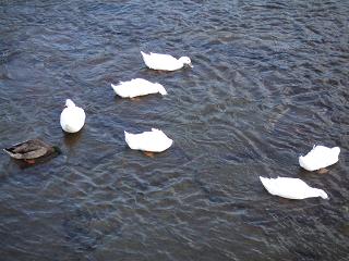 f0149083_2054473.jpg