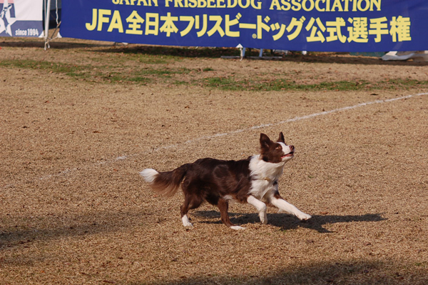 d0101385_2220425.jpg