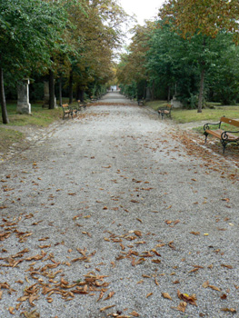 b0014587_1284548.jpg