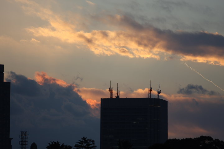 f0164989_71898.jpg