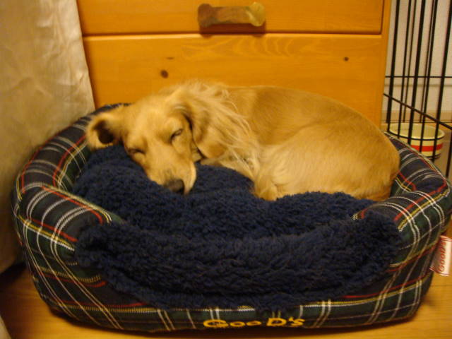 d0098295_0174937.jpg