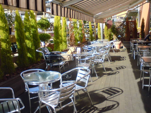 d0098295_021197.jpg