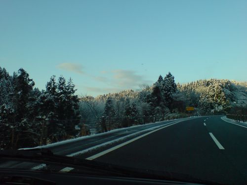 a0079098_1649755.jpg