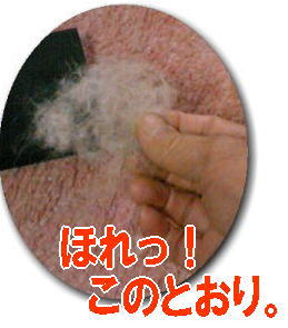 e0014000_1501056.jpg