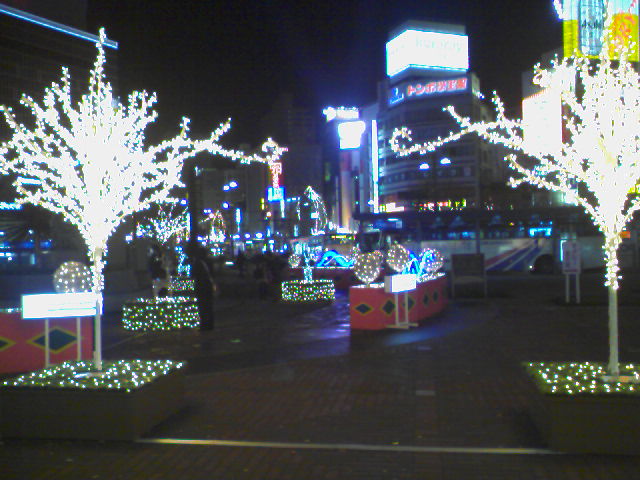f0197703_20234672.jpg