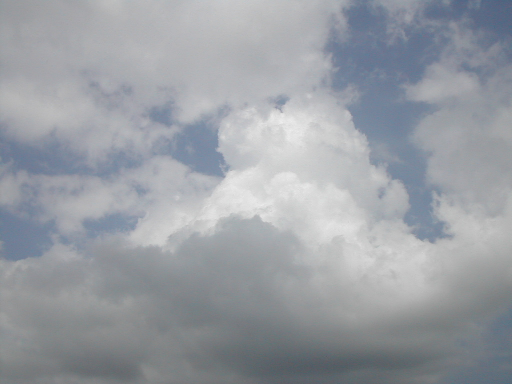 c0132608_17345645.jpg