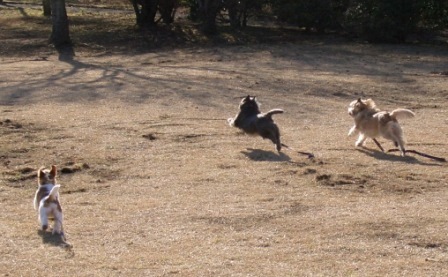 e0078510_1424991.jpg