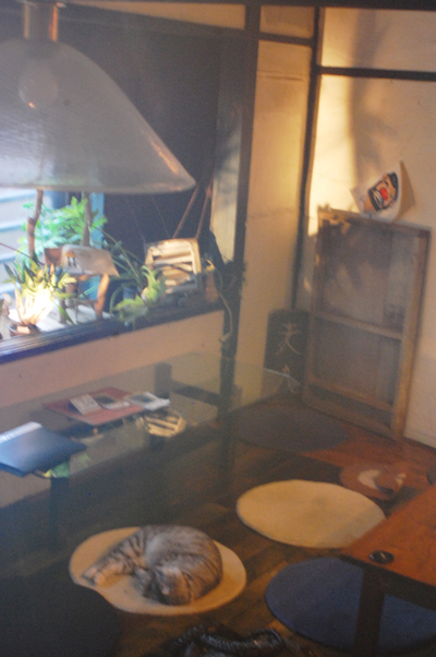 b0150811_0472249.jpg