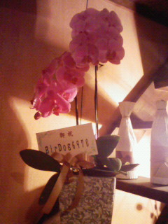 f0041113_911033.jpg