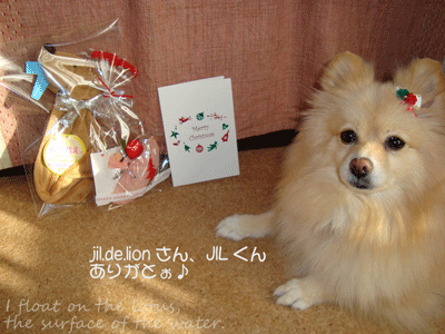 b0075318_8565417.gif
