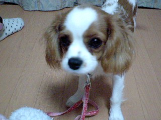 b0102023_19363925.jpg