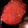 f0165831_23135832.jpg