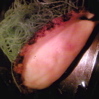 f0165831_2314829.jpg