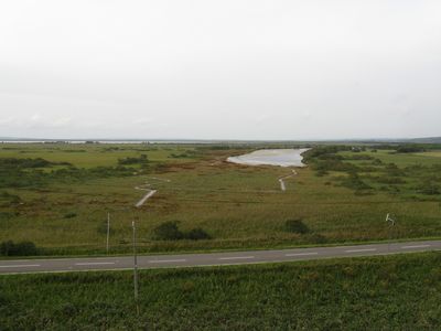 b0042334_10563348.jpg