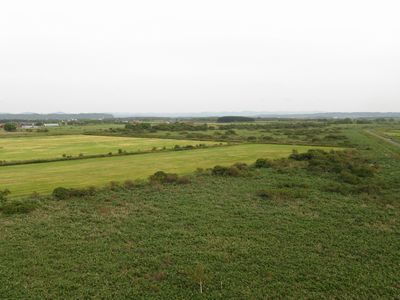b0042334_1057496.jpg