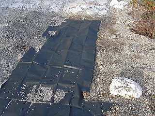 c0120536_0404298.jpg