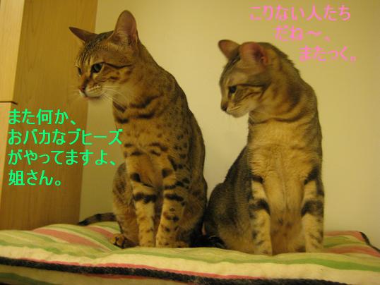 c0132537_1164353.jpg