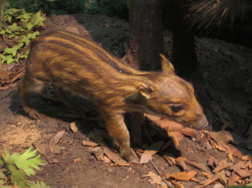 f0094843_23394814.jpg