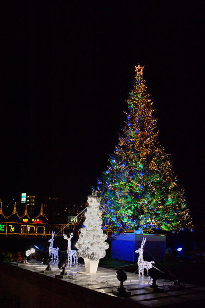d0001745_1654051.jpg