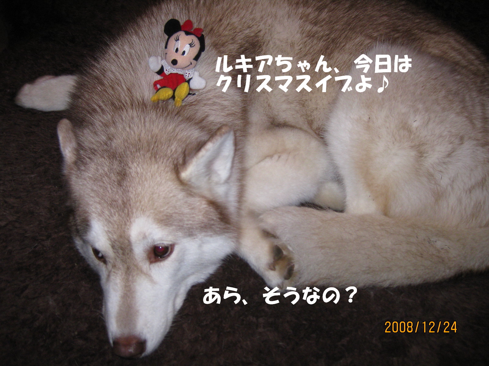 e0121548_2156871.jpg