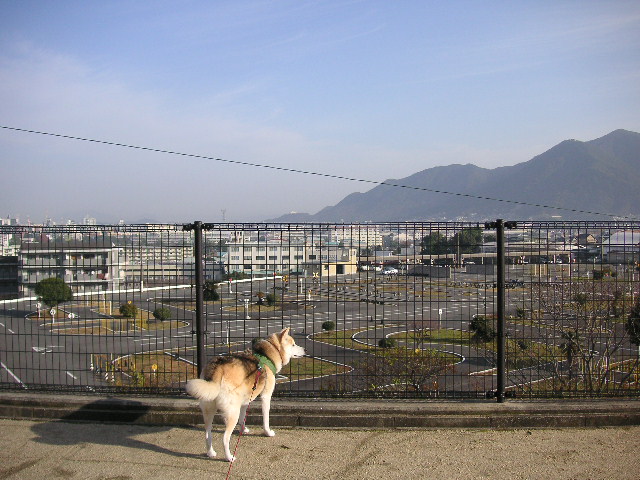 f0082855_052415.jpg