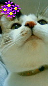 c0052756_23402698.jpg