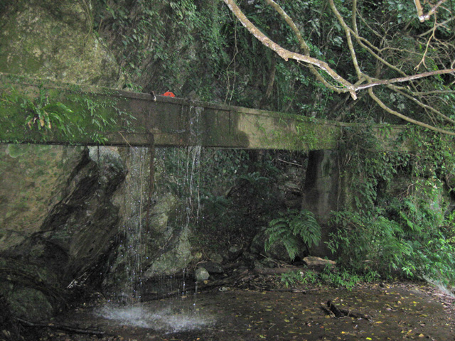 f0183656_12471259.jpg