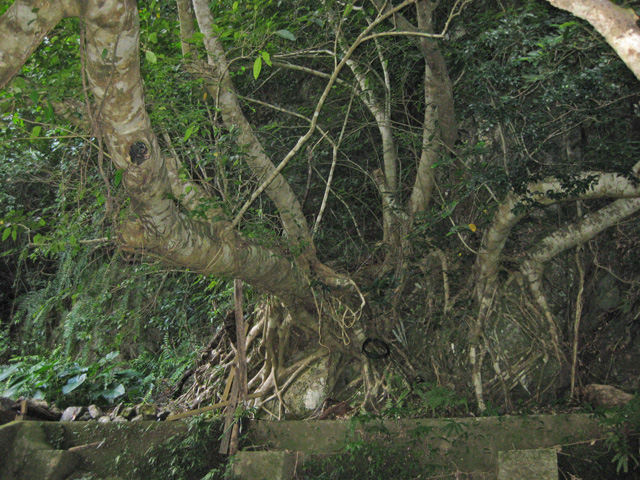 f0183656_12473068.jpg