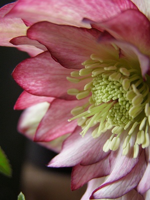 e0118257_2224758.jpg