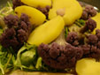 d0029958_19382422.jpg