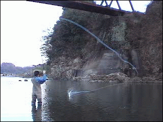 f0084561_17415516.gif