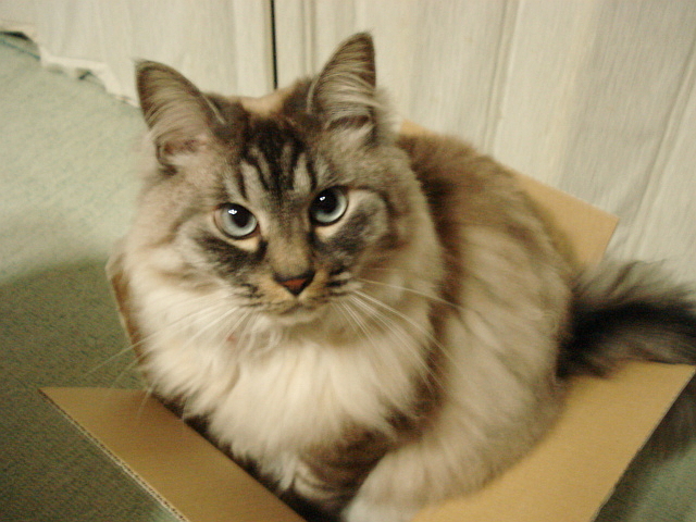 f0132565_9133221.jpg