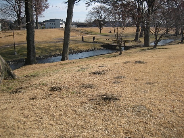 a0104569_20455463.jpg