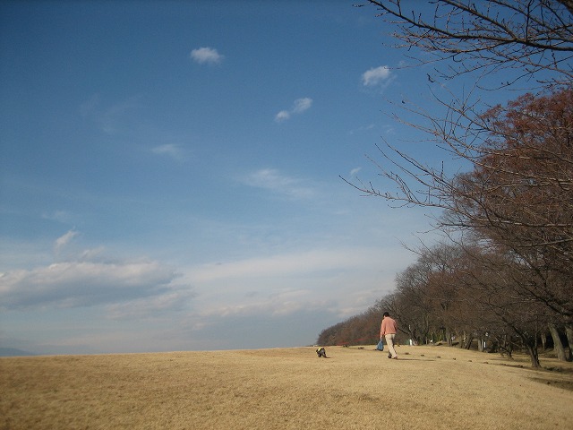 a0104569_20532449.jpg