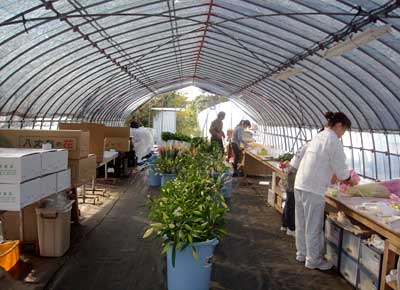 e0097770_23411251.jpg