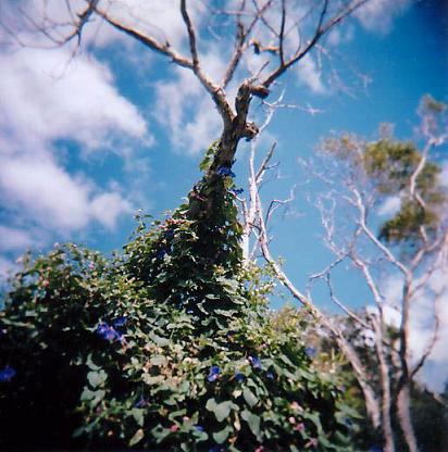 f0161878_213949.jpg
