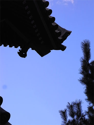 f0089079_9543482.jpg