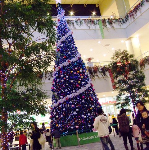 c0078480_2204425.jpg