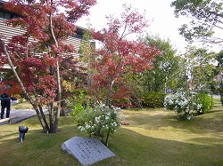 b0122182_134406.jpg