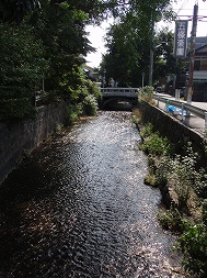 c0105785_11201584.jpg