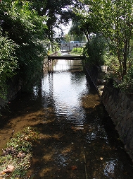 c0105785_11384853.jpg